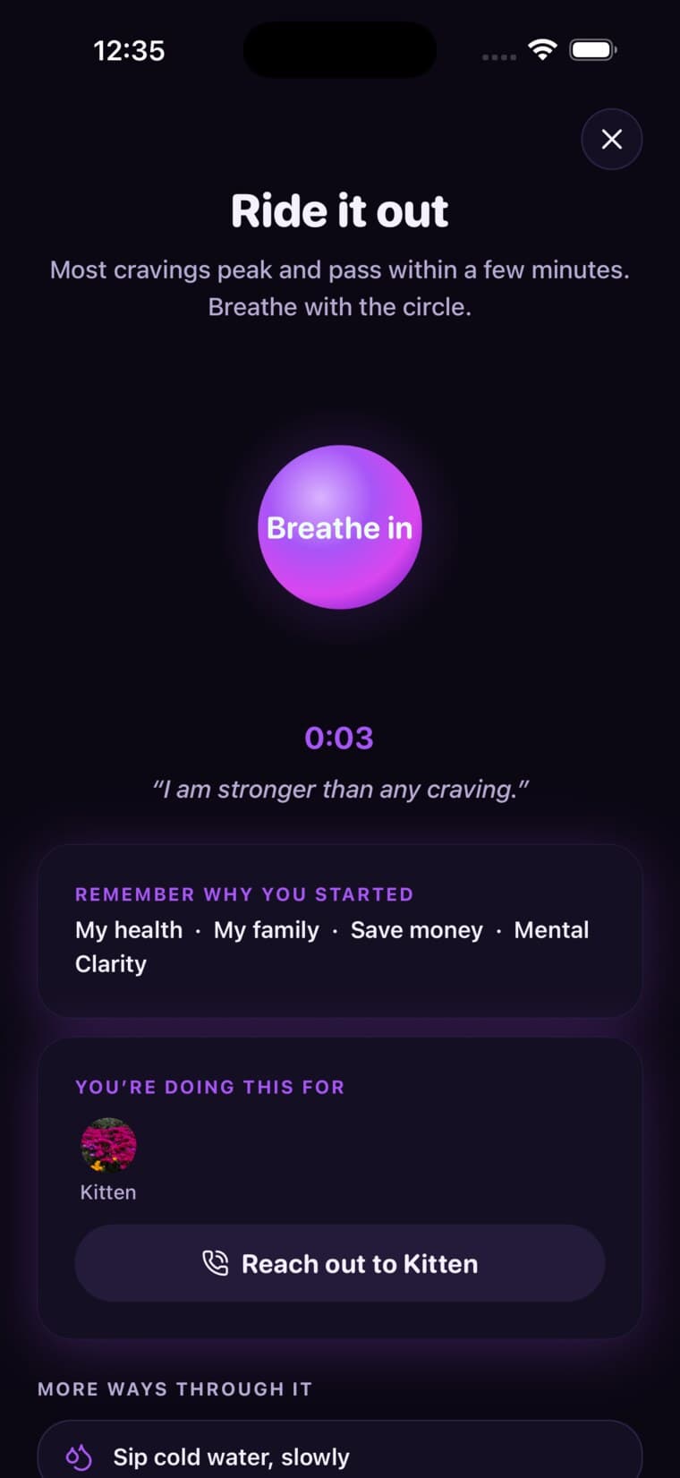 Breezely Craving rescue